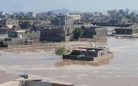 لجنتا الخدمات والصحة والبيئة بمجلس المستشارين تعلنان دعمهما لجهود السلطة المحلية في مواجهة تداعيات المنخفض الجوي والسيول بالعاصمة عدن