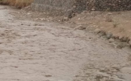 رئيس جمعية مستخدمي مياه الري بالمسيمير.. سيول الأمطار تخلف أضرار جسيمة في الأراضي الزراعية