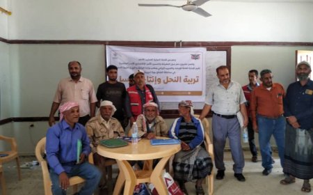 300 متدرب على مشروع تربية النحل ومأمور مديرية الضالع يطلع على الدورة التدريبية 