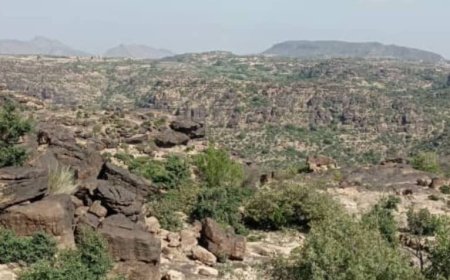 السيول تُغرق كبرى مديريات تعز وتلحق أضراراً واسعة