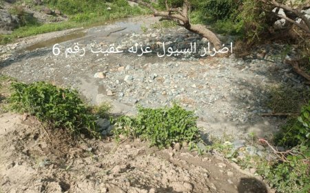 سيول الأمطار تخلف أضرار بمنطقة عقيب بحجر في مديرية الضالع