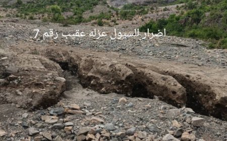 سيول الأمطار تخلف اضرار بمنطقة عقيب بحجر في مديرية الضالع