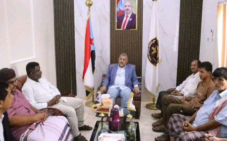 فريق التوجيه والرقابة الرئاسي يواصل الإطلاع على نشاط إدارات تنفيذية انتقالي المهرة