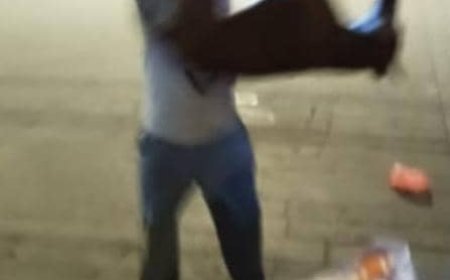 انطلاق حملة مكثفة في مديرية الشحر للتقليل من أعداد الكلاب الضالة حفاظاً على السلامة العامة