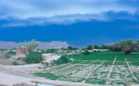 عواصف رعدية تضرب مدن وادي وصحراء حضرموت مساء اليوم