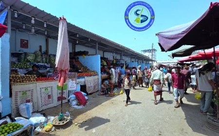 بتوجيهات من محافظ أبين.. صندوق النظافة يفتتح 18 محل خضار وفواكه ويموّل إصلاح خط المجاري بسوق الأسماك بزنجبار