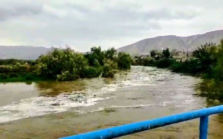 مزارعو غرب دلتا أبين يناشدون.. أراضينا محرومة من مياه السيول منذ 20 عاماً والسبب عجز إدارة الري عن تهيئة الأعبار ورفع العقم الترابية!