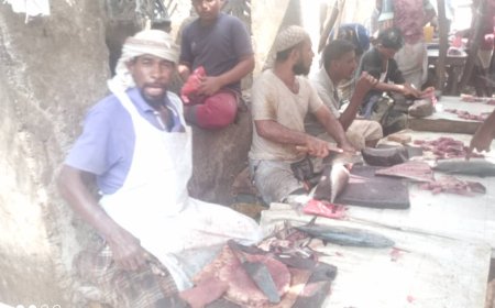 انخفاض كبير في أسعار الأسماك بأحور