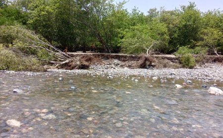 مناشدة لحماية أراضي وادي تبن من أضرار السيول