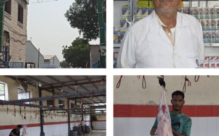 علي بن عاطف: نحن مع قرار التعافي والإصلاحات وكل ما يصب في إطار مصلحة المواطن بتخفيض اسعار المواشي