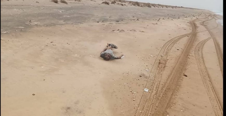 قوارب الموت تنهي حياة 90 مهاجراً افريقياً قرب سواحل أبين .. السلطات تناشد المنظمات الدولية التدخل
