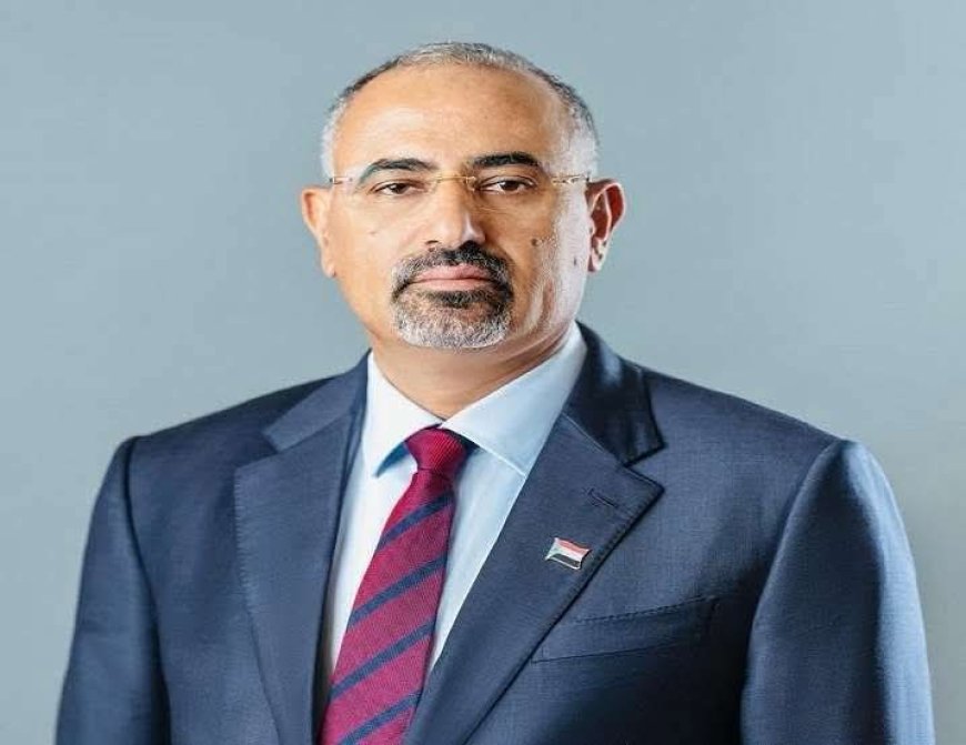 الرئيس الزُبيدي يوجّه بحماية المحتجين السلميين في وادي حضرموت