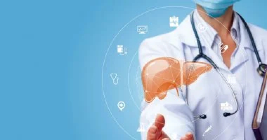 دراسة تكشف.. جزىء طبيعى داخل الأمعاء يمكنه إصلاح تلف الكبد