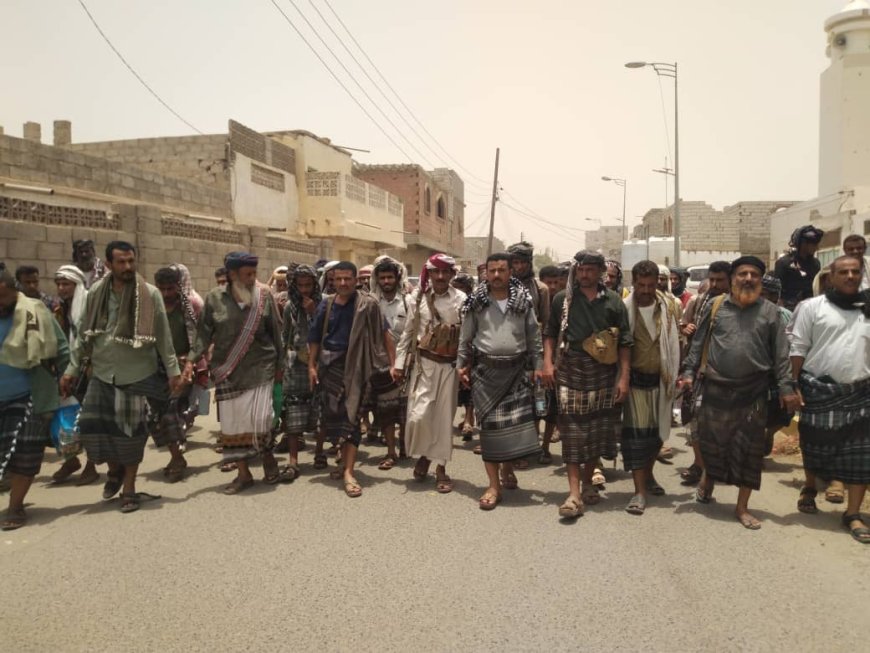 بمسند قبلي كبير آل حقيس يسندون لآل الميسري في عاصمة المحافظة زنجبار 