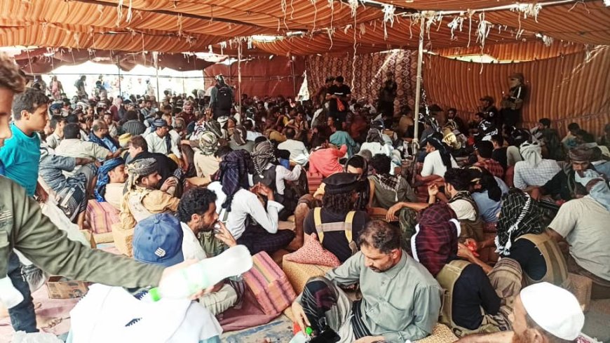 تحكيم قبلي من قبيلة المراقشة ينهي قضية تقطع لابناء الجرادمة- يافع بأبين