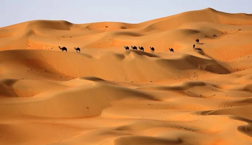 اليمن والسعودية يترقبان أمطارًا غزيرة تعادل المعدلات السنوية في أيام قليلة