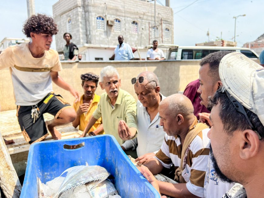 هيئة مصائد خليج عدن تضبط كمية من الأسماك المتعفنة وتتلفها في صيرة