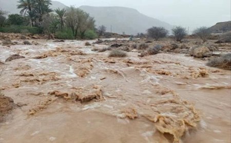 سيول الأمطار تخلف خسارة مادية بخمسين مليون ريال في محافظة شبوة