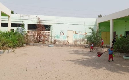 روضة الأول من مايو بالكود إقبال ملحوظ رغم الأهمال والتدهور