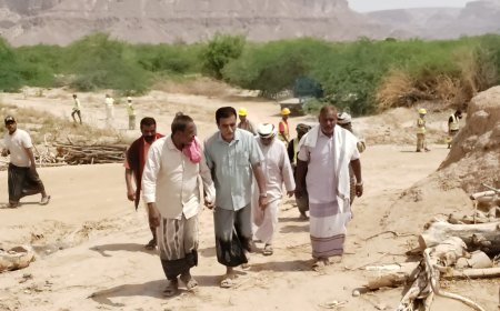 مدير عام مديرية القطن يتفقد مشروع من الغذاء إلى الصمود النسخة الثانية