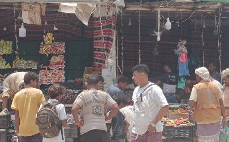 تنفيذ حملة على الصيدليات والافران و إزالة العشوائيات والبسطات التي تعيق حركة المرور بمدينة جعار مديرية خنفر