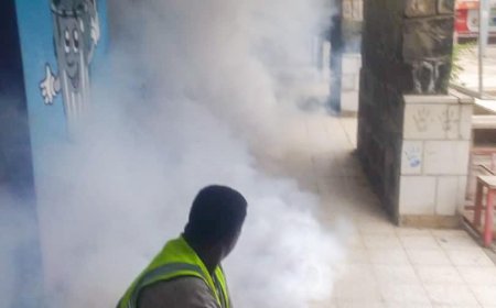 صحة البيئة بصيرة : جهودنا مستمرة في مكافحة البعوض الطائر