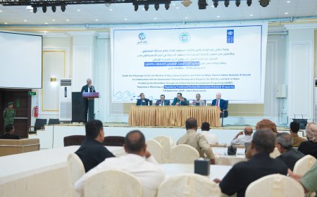 الوزير السقطري يدشن ورشة عمل حول تحديث لائحة تنظيم آليات الصيد التقليدي