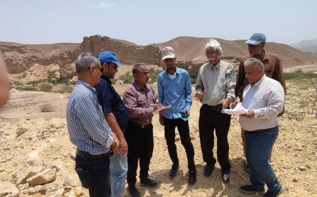 فريق مشترك من وزارتي الزراعة والأسماك والمياة والبيئة وزراعة حضرموت ومنظمة "الفاو" ينفذون نزول ميداني إلى وادي حجر
