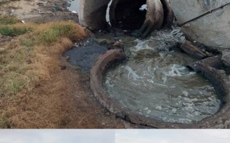 قلة الحيلة تسبب أضرار للبيئة