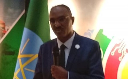 وزير التخطيط والتنمية الإثيوبي: 58.35 مليار دولار للتخفيف من آثار تغير المناخ و 40 مليار للتكيف