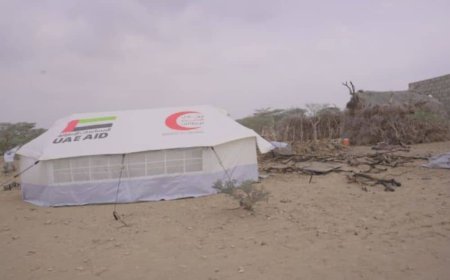 تعز.. الخلية الإنسانية تتدخل لإغاثة أربعة أيتام بعد احتراق منزلهم في المخا