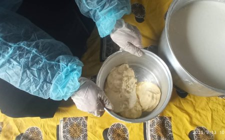 إستمرار معمل (نساء الامل ) لتصنيع مشتقات الألبان في قرية كبث بمحافظة أبين