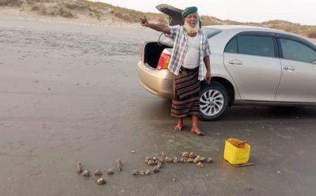 من شاطئ رضوم الذهبي.. الكابتن أبو موسى يوثّق حبه للجنوب بلمسة بحرية ومحار الوطن