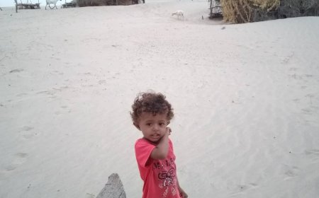 قرية منكوبة في أبين تستغيث: السكان بلا طعام والسلطات غائبة