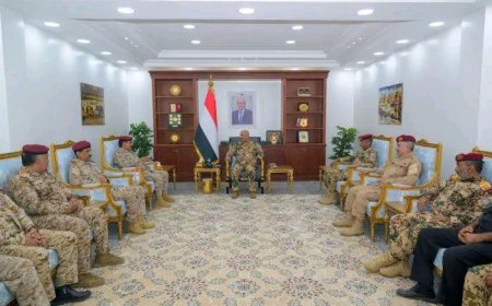 عضو مجلس القيادة طارق صالح يطلع من وزير الدفاع على الوضع العملياتي في المحاور والمناطق العسكرية