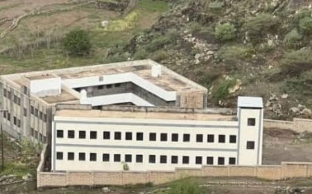 إشادة رسمية بجهود مدرسة الشهيد عبد القوي ببئر العروس وتحقيقها إنجازات لافتة