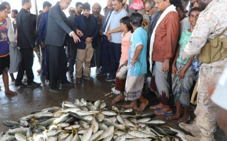 بتمويل من البنك الدولي عبر صندوق الأمم المتحدة الإنمائي UNDP مشروع الأشغال العامة ينفذ مشروع مركز الانزال السمكي يستتفيذ منه أكثر من 2000 ألفين صياد بمديرية الريدة وقصيعر