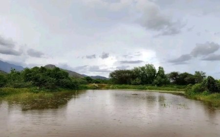 مودية تشهد أمطار غزيرة