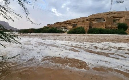 المحافظ بن الوزير يوجه برفع الجاهزية للحد من الأضرار.. شبوة تشهد أمطاراً غزيرة وسيولاً جارفة