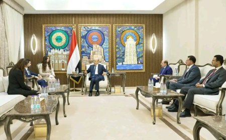رئيس مجلس القيادة يستقبل القائم بأعمال سفارة الولايات المتحدة