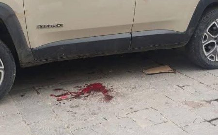 عاجل.. اغتيال مديرة صندوق النظافة في تعز برصاص مسلحين مجهولين