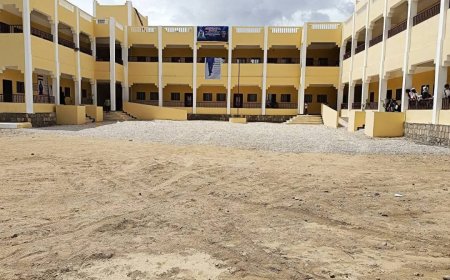 بتمويل الإمارات.. افتتاح مدرسة الحنك للبنات بمديرية نصاب بشبوة