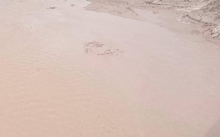 غرق خمس نساء من أسرة واحدة في قرية المحصامة بمديرية أحور