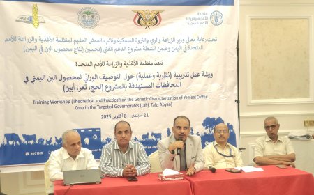 برعاية وزير الزراعة والفاو.. انطلاق ورشة تدريبية حول التوصيف الوراثي لمحصول البن في عدن