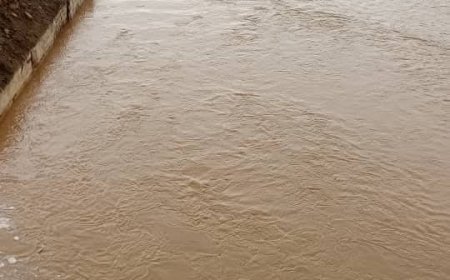 فاجعة تهز أبين.. غرق خمس نساء من أسرة واحدة في حفرة سيول بأحور ( أسماء)