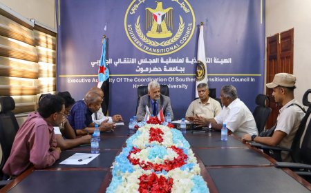 فريق التوجيه والرقابة الرئاسي يعقد اجتماعًا مع تنفيذية منسقية المجلس في كلية العلوم البيئية بجامعة حضرموت