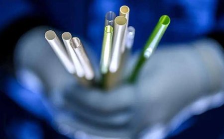 هل ماصة المشربات المصنوعة من القش صديقة للبيئة؟ دراسة تكشف الحقيقة