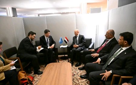 رئيس مجلس القيادة يشيد بتدخلات البرنامج الإنمائي للأمم المتحدة