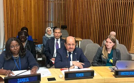 اليمن يشارك في الاجتماع السنوي لوزراء خارجية أقل البلدان نمواً (LDC)