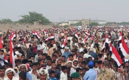 تعز.مديرية المخا تشهد انطلاق فعاليات مهرجان الذكرى 63 لثورة 26 سبتمبر